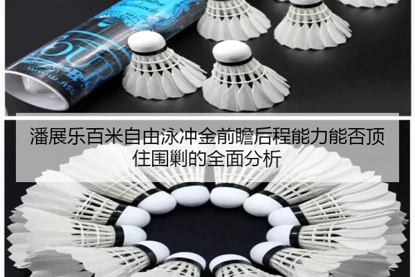 潘展乐百米自由泳冲金前瞻后程能力能否顶住围剿的全面分析
